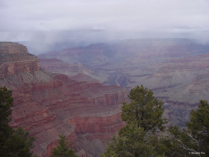 Grand Canyon - Grand Canyon 1-05 258